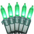 thumbnail image 1 of Cadena de luces Holiday Essence 100 LED verdes de 8,2 m para interiores y exteriores, 1 of 9