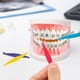 thumbnail image 4 of 100 Unidades de Bandas Elásticas de Goma Dentales de Colores, Colocadores de Plástico para Aparatos de Ortodoncia., 4 of 5
