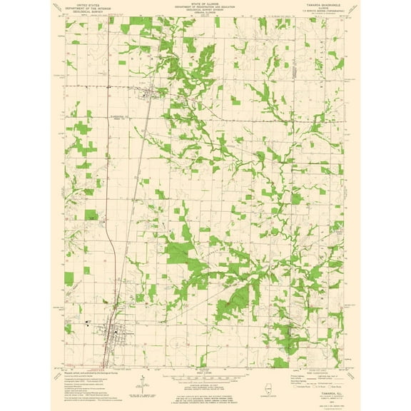 Topographical Map - Tamaroa Illinois Quad - USGS 1975 - 23 x 30.48 - Vintage Wall Art
