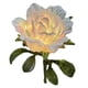 thumbnail image 2 of Lámpara con Forma de Flor, Linterna de Mano, Manualidades para Niños, Kit de Bricolaje, Linterna de Flores para Deseos, Decoración de Navidad y Año Nuevo., 2 of 7