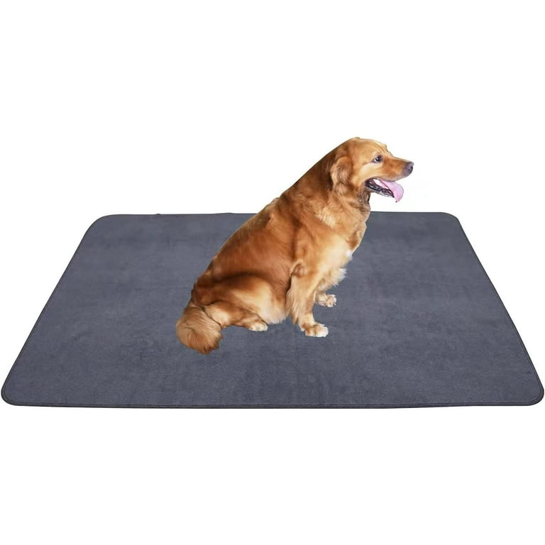 Dog incontinence pads top