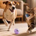 thumbnail image 2 of Smart Jumping Ball for Dogs & Cats, Glowing Interactive Ball Auto-Avoid Pet Toy, USB Rechargeable & Bite-Resistant, 2 of 5