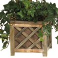 thumbnail image 3 of Bougainvillea Topiary w/Wood Box, 3 of 5