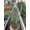 6_SUCC_SENECIO_PICKLE.PLANT, variant on Senecio Stapeliiformis "Candy Cane" PIckle Succulent - Live Air-Purifying Indoor Plant in Nursery Pot – Easy Care, Low Maintenance Houseplant for Home & Office Decor, Natural Air Cleaner, Best for