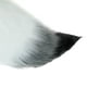 thumbnail image 2 of Kit de Disfraz de Cola Grande de Animal de Simulación, 2 of 8