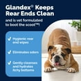 thumbnail image 6 of Vetnique Glandex Rear End Wipes for Dogs & Cats, Cleaning & Deodorizing, Fresh Scent, 100ct, 6 of 13