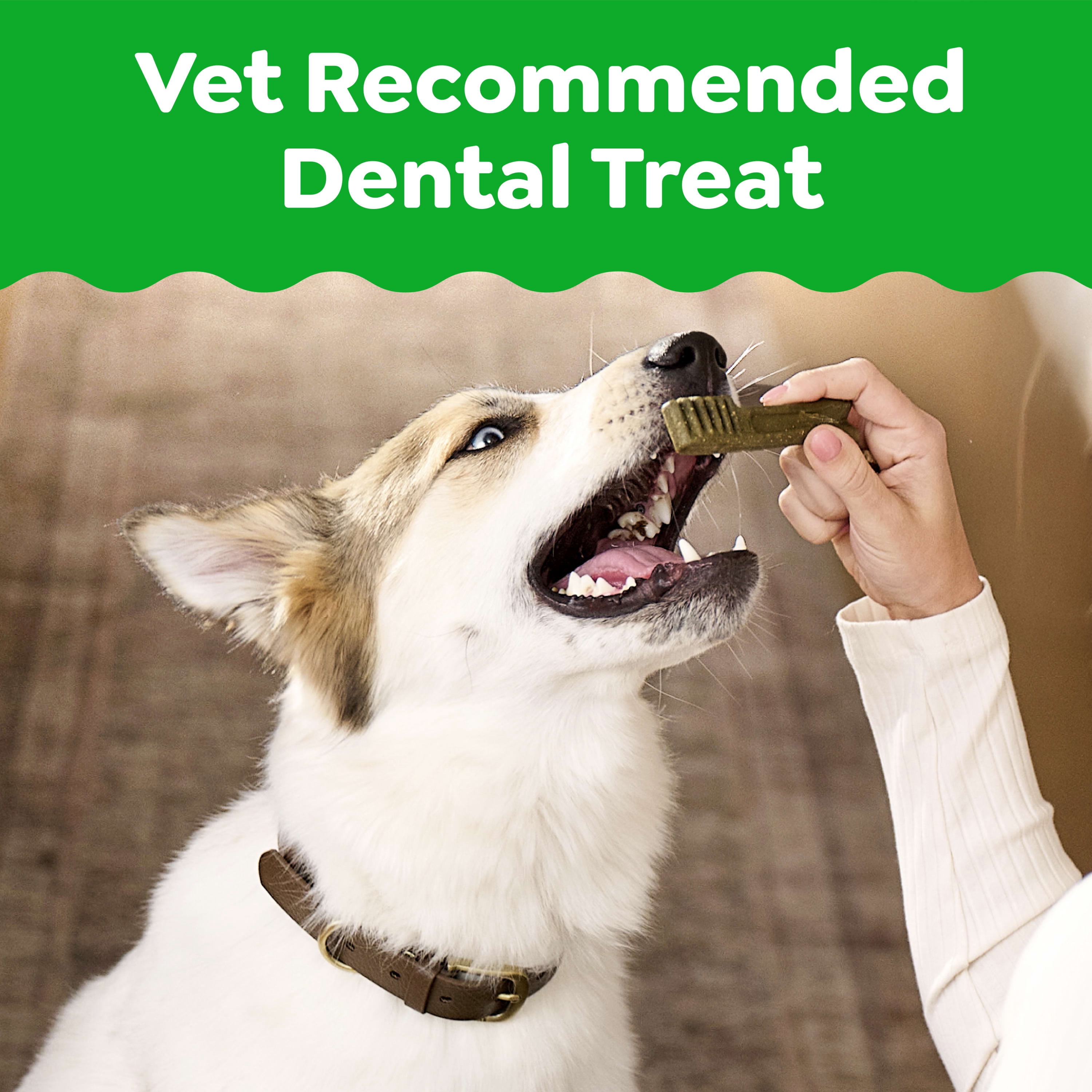 (6 pack) GREENIES Original Flavor Natural Dental Treat Chews for Medium-Sized Adult Dogs, 54 oz. Pack