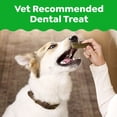 thumbnail image 5 of GREENIES Original Flavor Natural Dental Treat Chews for Medium-Sized Adult Dogs, 54 oz. Pack, 5 of 16