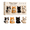 cats B6, variant on 2026 3D Beaded Animal DIY Kit, Cute Dog Beading Craft Set, DIY Bead Art Kit for Beginners & Craft Lovers