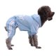 thumbnail image 1 of Petmall Mascota Año Nuevo Caliente Cuatro Patas Ropa Para Perros Gatos Conejo Gao Jiahui unisex, 1 of 2