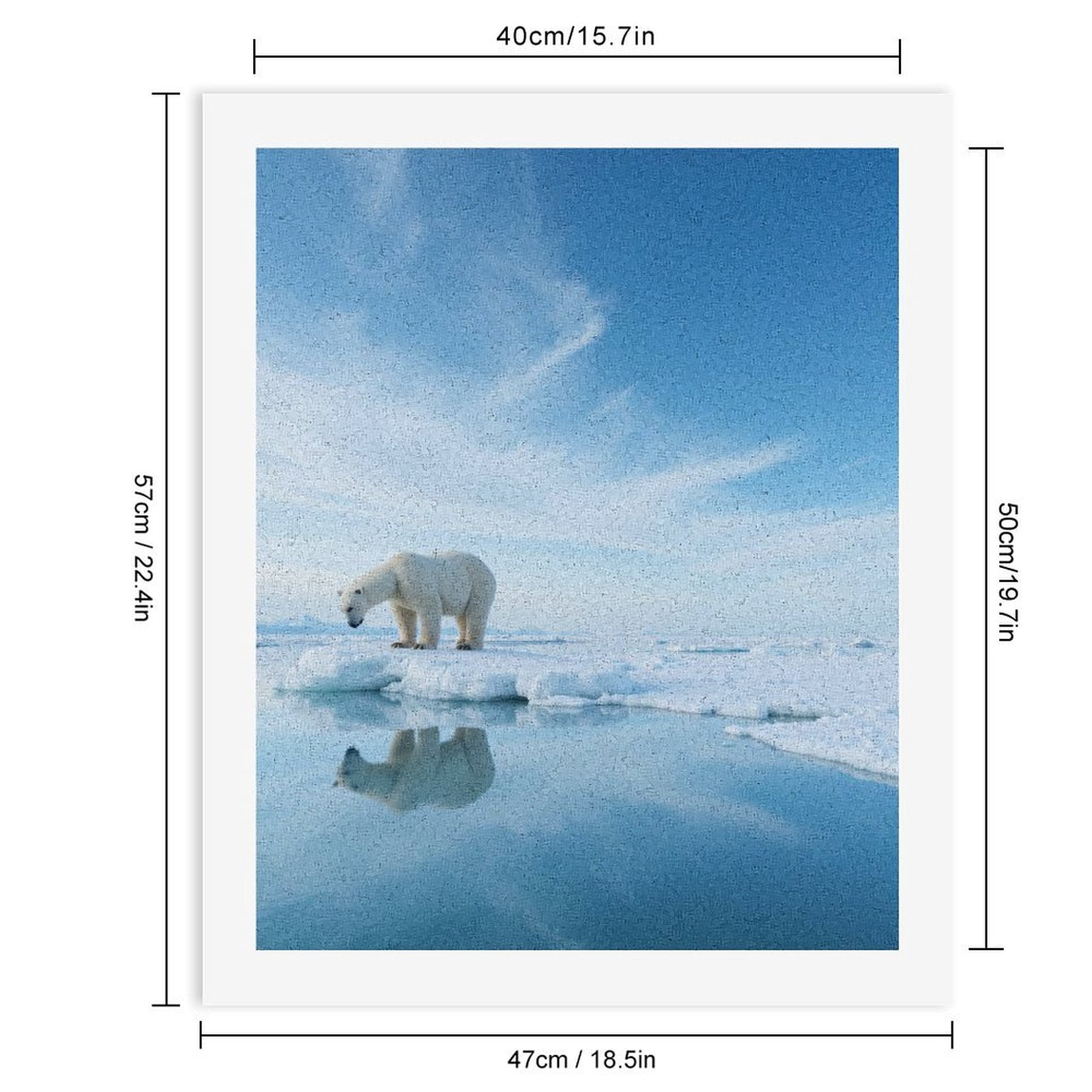 Paint by Numbers Kit for Adults, Polar Bear Ice Reflection Scene Paint by Numbers, Easy Paint by Numbers Kit for Adults Beginner, DIY Adult Paint by Number Kits on Canvas, Home Decor
