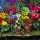 thumbnail image 3 of Frog Sitting Figurines Solar Lights Ornaments Lovely Housewarming Gift, 3 of 6