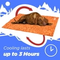 thumbnail image 4 of Coleman Small Navy Botanical Pattern Reversible Cooling Mat  18 x 24, 4 of 11