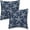 Navy Blue Starfish, variant on Navy Blue Coastal Pillow Covers 20x20 Inch 2 Pcs Sea Starfish Decor Throw Pillows Nautical Beach Ocean Themed Summer Outdoor Holiday Decoration Pillowcase Linen Cushion Cover for Couch Sofa