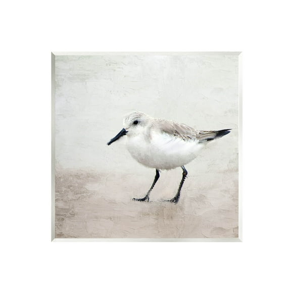 Stupell Industries Lone Sandpiper Bird Portrait Graphic Art Unframed Art Print Wall Art, Design by Kim Allen