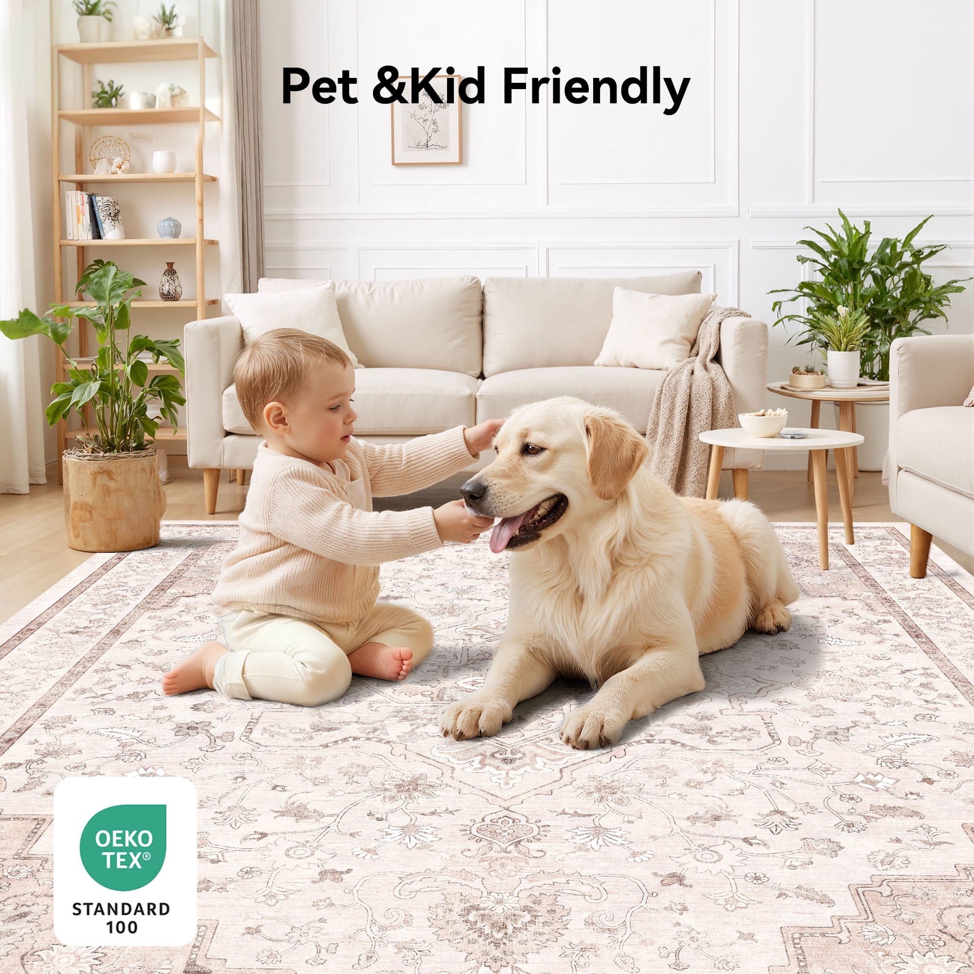 CHITOOMA 5'x7' Area Rugs for Living Room, Washable Rugs Vintage Soft Living Room Rug for Bedroom Dining Room Dorm Office with Non-Slip Backing, Stain Resistant Non-Shed Carpet