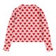 thumbnail image 2 of TaTaai Middle Big Half Zip Crewneck Fleece Sweatshirt, Long Sleeve Printed Crop Pullover, Ideal for Valentines Day Vacation Sports Gift, 2 of 4