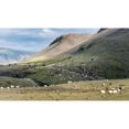 thumbnail image 3 of Head, Danny 14x10 Black Modern Framed Museum Art Print Titled - Herding Sheep II, 3 of 5