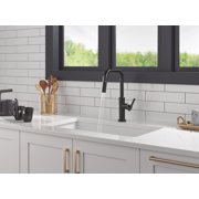 Delta 19868Lf Nicoli 1.8 GPM Single Hole Pull Down Kitchen Faucet - Matte Black /