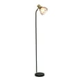 thumbnail image 2 of Simple Designs 55.91" Industrial Farmhouse Fusion Adjustable Cage Wire Accent Floor Lamp, Black, 2 of 9