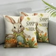 thumbnail image 2 of COMIO  Spring Pillow Covers Set of 2 Rabbit Bunny Carrot Truck Spring Flowers Decorative Throw Pillow Covers for Home Office Sofa Bed Couch, 2 of 6