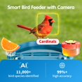 thumbnail image 2 of Comedero para aves FreeKoala con cámara solar AI 4K UHD azul, 2 of 9