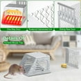thumbnail image 2 of Imountek 2Pcs Humane Mouse & Rat Trap Cage, 11 Inches Automatic Continuous Reusable Rodent Trap, 2 of 7