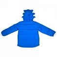 Sonic The Hedgehog Boy's Costume Puffy Jacket with Classic Design for ...