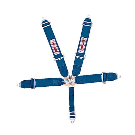 Simpson Safety SIM29061BL 62 in. Latch & Link Pull Up 5 Point Harness System