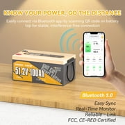 Power Queen 51.2V 100Ah Smart LiFePO4 Battery for Golf Carts, 15000 Cycles Lithium Battery , Built-in 200A Smart BMS with Low-temp Cut-off for 5kW Motor Golf Cart, Marine