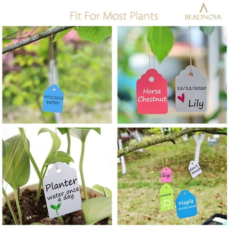 KSCD Plant Labels Tags Hanging Plant Tags Garden Signs Plant Identification Stakes Garden Tags for Plant Garden Outdoor (Pink, 100 pcs) Pink 100pcs