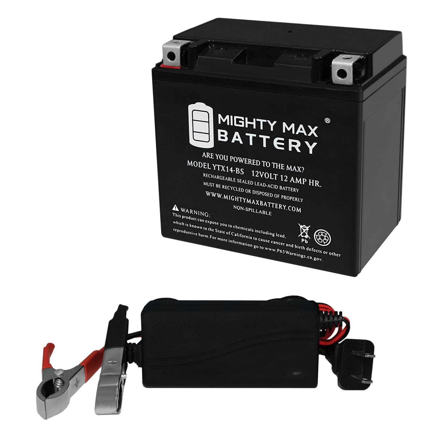 Battery for cub cadet rzt 42 sale