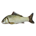 thumbnail image 1 of Jouet pour Chat 11.81 Po Poisson Réaliste Résistant aux Morsures Jouet à Mâcher pour Chat avec Herbe à Chat, 1 of 10