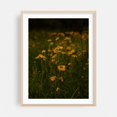 thumbnail image 2 of Front Range Flora - Boulder Colorado Photography Flowers Nature Floral Botanical Garden Scenic Summer Unframed Wall Art Print 36 x 48 inches, 2 of 4