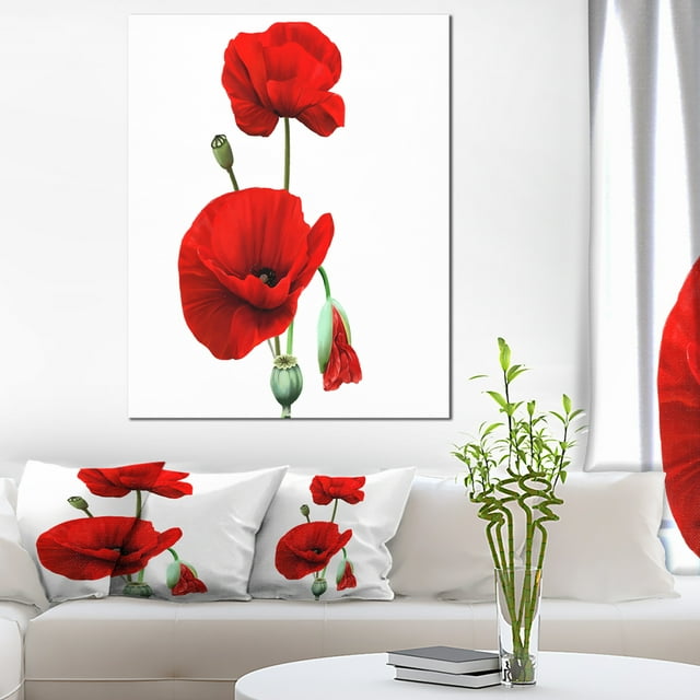 Red Poppies on White Background - Floral Canvas Art Print