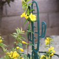 thumbnail image 5 of 1 Enrejado de plantas de plástico, soporte de escalada para plantas, tortuga, Cactus, soporte de escalada para interiores y exteriores, suministros de jardinería, 5 of 5