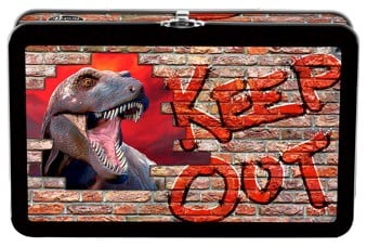 dinosaur pencil box