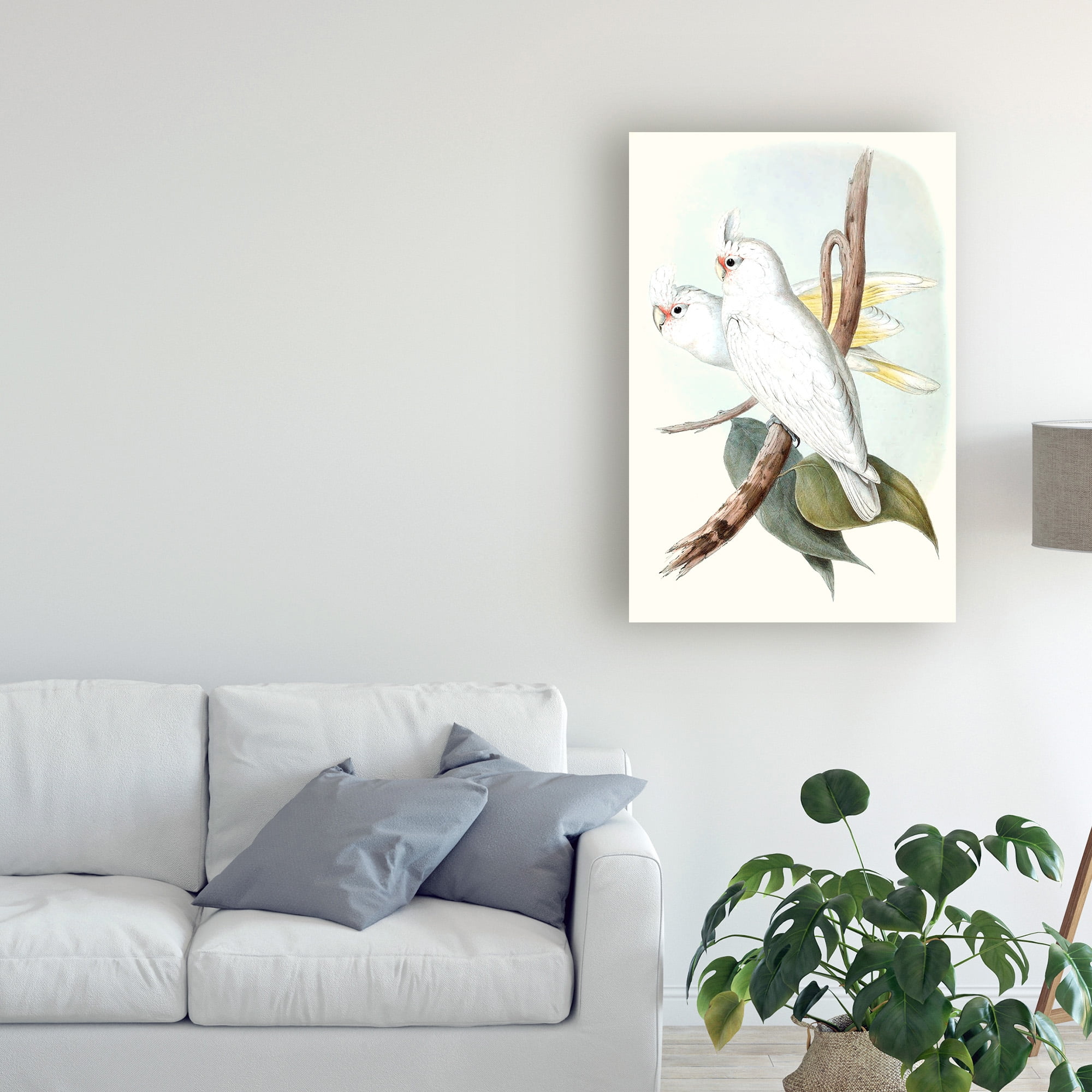 Trademark Fine Art 'Pastel Parrots II' Canvas Art by John Gould