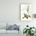 thumbnail image 3 of Trademark Fine Art 'Pastel Parrots II' Canvas Art by John Gould, 3 of 4