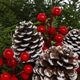 thumbnail image 3 of Holiday Time 1Gal Fresh Live Real Greenery Berry Pinecone Decorative Pot Indirect Light, 3 of 7
