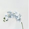 thumbnail image 4 of Artificial Phalaenopsis Orchid Stem, 9 Heads Latex Phalaenopsis Stems Fake Orchid Spray, Elegant Clustered Orchid Blooms Tall Stem, Artificial Orchid Stem Bouquets for Home Decor 1Pcs, 4 of 4