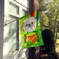 thumbnail image 2 of Caroline's Treasures BB1965CHF Pekingese St. Patrick's Day Flag Canvas House Size , Large, multicolor, 2 of 4
