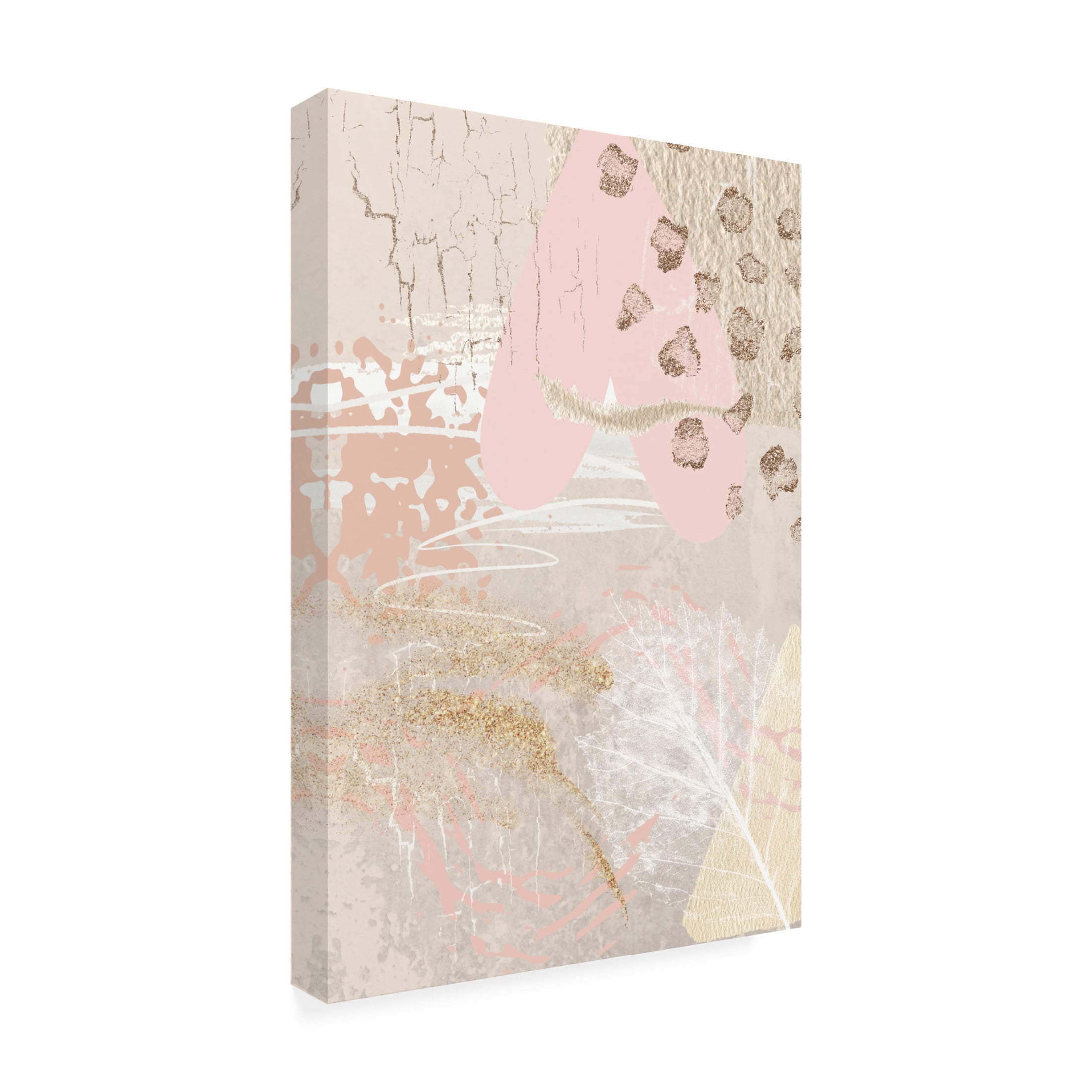 Trademark Fine Art Sally Ann Moss Morning Pink 2 Canvas Wall Art