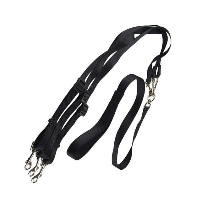 Laisse Double pour Chien Réglable en Nylon Durable pour Marcher et Courir avec Deux Chiens