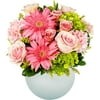 Arabella Bouquets Fresh Cut Oh Darling Flowers with Opal Vase, Pink