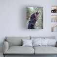 thumbnail image 2 of Eric Joyner 'The Collator' Canvas Art, 2 of 4