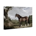 thumbnail image 3 of Stupell Industries Majestic Equine Nature Portrait Canvas Wall Art, design by Corinne Haig, 24 x 36, 3 of 7