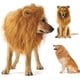 thumbnail image 1 of B Ropa para Cosplay de Perros, Melena de LeóN para Disfraces de Perros, Peluca de LeóN Realista para Perros Medianos una Grandes + Suministros para Mascotas con Orejas, 1 of 7