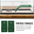 thumbnail image 3 of Shisuyan Turtle Resting Platforms Green Plastic 2Pack 5.5X3.1X1.8in, 3 of 9