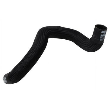 Radiator Outlet Hose